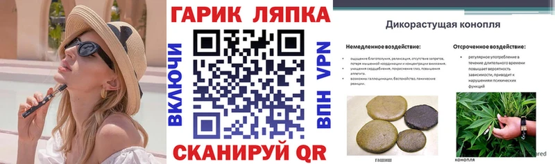 ГАШ Premium  omg онион  Сорочинск 